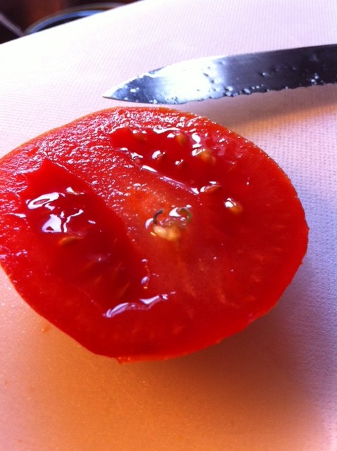 Tomato seed germination