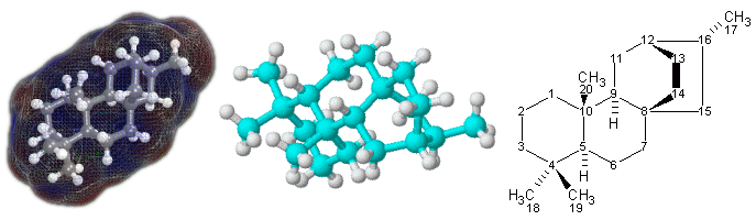 Atisane3 Terpenoid molecule