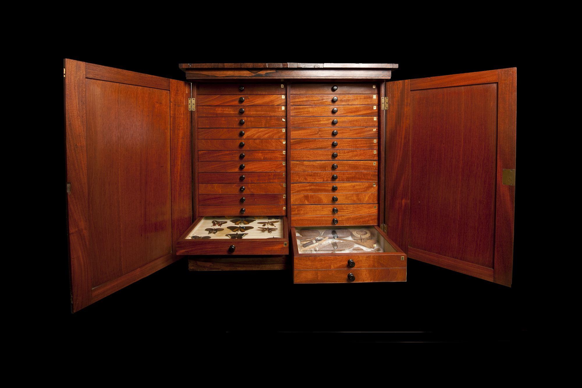 A.R. Wallace specimen cabinet